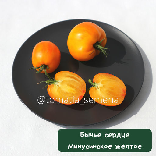 Бычье сердце Минусинское жёлтое - Tomatia фото 3