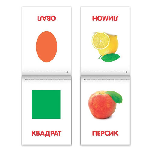 Книги Карточки Домана на скрепке, набор, 8 шт. по 20 стр. - Буква-ленд фото 5