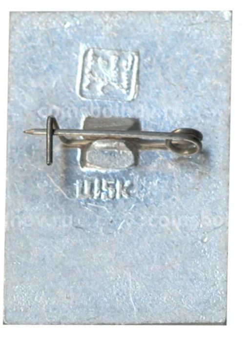 Значок Общество охраны памятников истории и культуры РСФСР