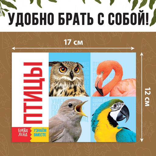 Обучающие книги набор «Удивительный мир» 6 шт. по 20 стр.