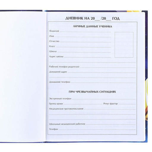 Дневник школьный, 1-11 класс в твёрдой обложке, с тиснением, 40 л, Трансформеры - Hasbro фото 6