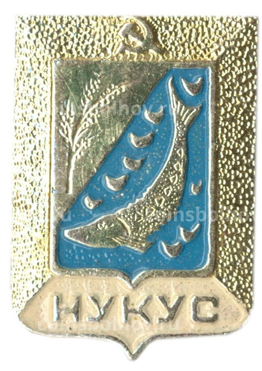 Значок Нукус