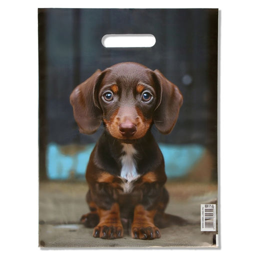 Цена за 20 шт. Пакет подарочный «Милая такса», полиэтиленовый с вырубной ручкой, 30×40 см 50 мкм