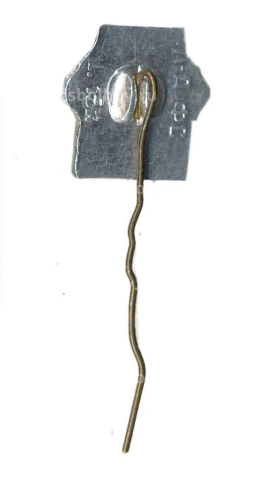 Значок Мавзолей Айша Биби