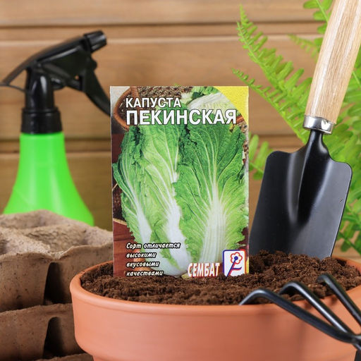 Цена за 5 шт. Семена Капуста пекинская, 0,5 г