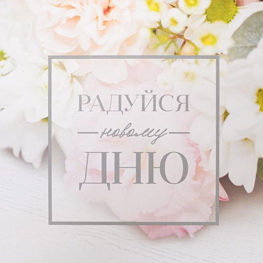 Цена за 5 шт. Коробка для печенья, кондитерская упаковка с пластиковой крышкой, Радуйся новому дню, 18?18?3 см