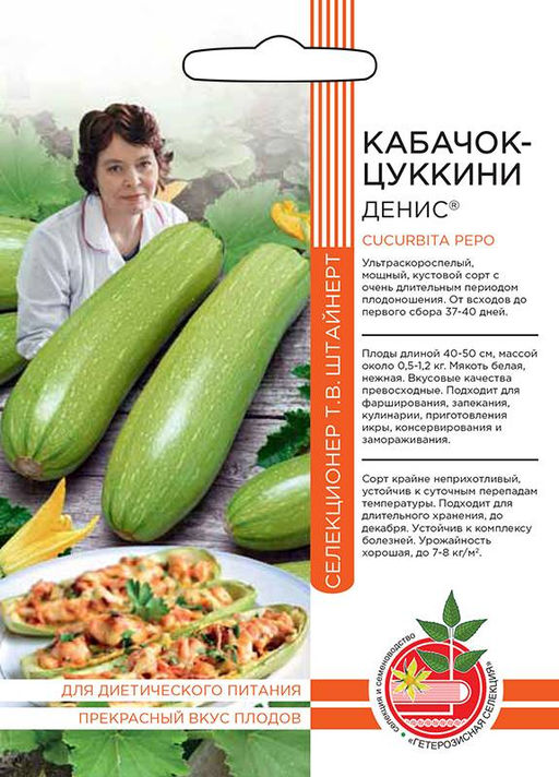Кабачок ДЕНИС коллекция Татьяны Штайнерт Авторская селекция