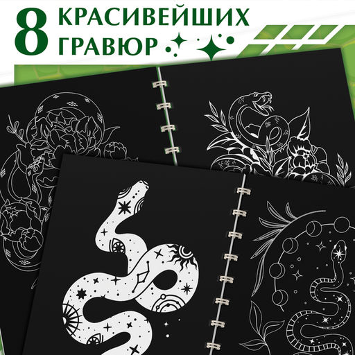 Цена за 6 шт. Гравюра-блокнот детская Змеи, 8 картинок, переливающийся фон, со штихелем - Буква-ленд фото 2