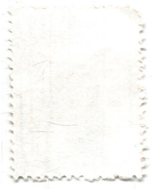 Марка Ежовая крыса 1981 год Бразилия