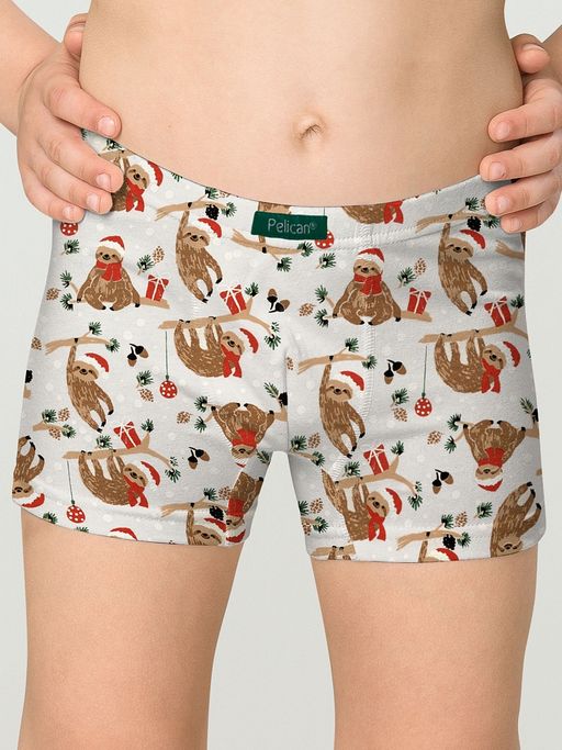 Pelican 2шт. в упаковке BUHB3309(2) трусы для мальчиков  фото 2