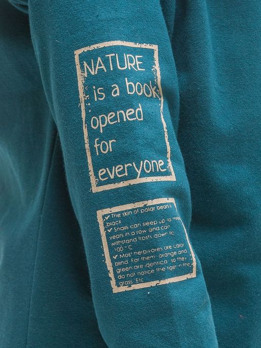 BFJS3296 джемпер для мальчиков - Pelican фото 4