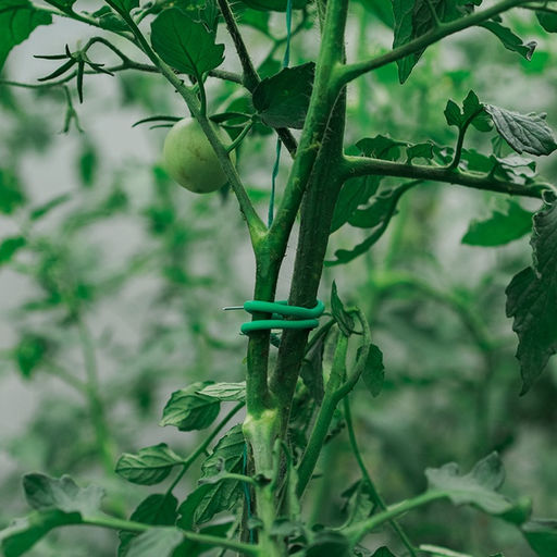 Проволока подвязочная, 5 м, d=3 мм, мягкая, Greengo  фото 8