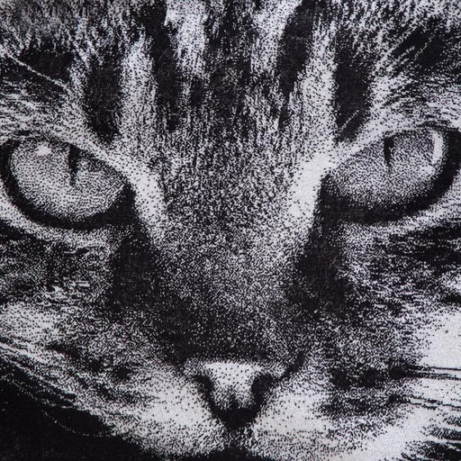 Полотенце махровое Этель ЧБ Котик 50х90 см  фото 2