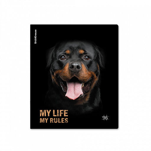 Цена за 5 шт. Тетрадь общая ученическая ErichKrause Собаки, 96 листов, клетка, матовая ламинация_MIX-PACK  фото 4