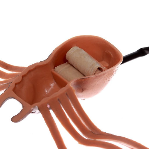 Прыгающий Паук - Simaland фото 2