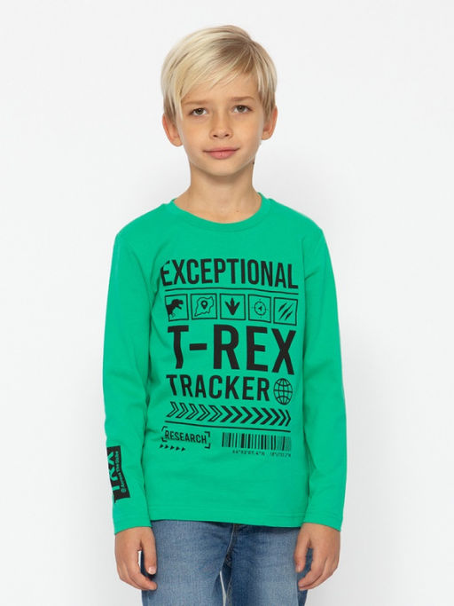 CRB wear/CWKB 63711-37-387 Джемпер для мальчика,зеленый/Ex.Cherubino