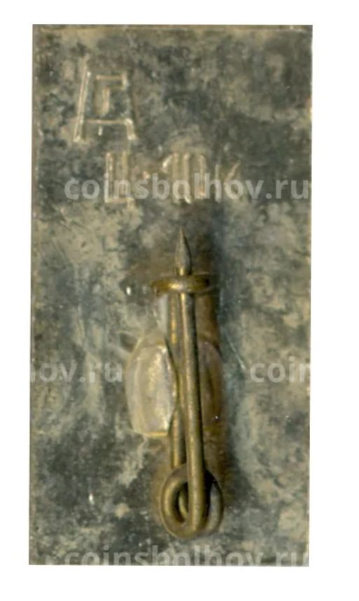 Значок Гатчина