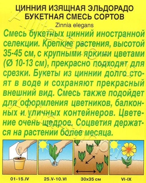 Цинния Эльдорадо букетная смесь сортов 12шт. (Аэлита)