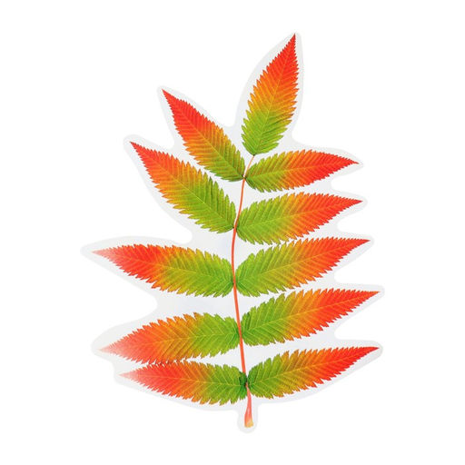 Цена за 10 шт. Украшение на скотче «Лист рябины» красный, зелёный, 18×18 см