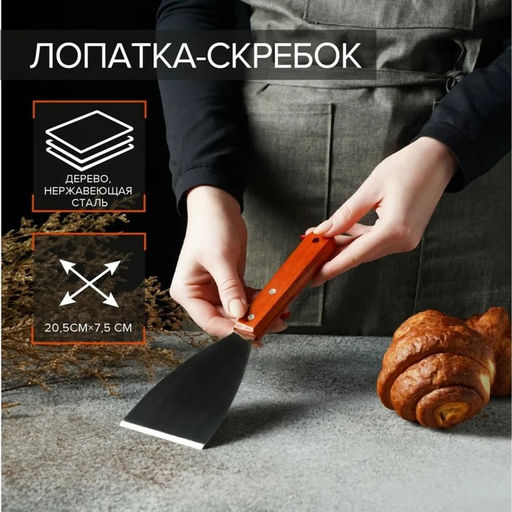 Лопатка - скребок Доляна, 22.5?7 см