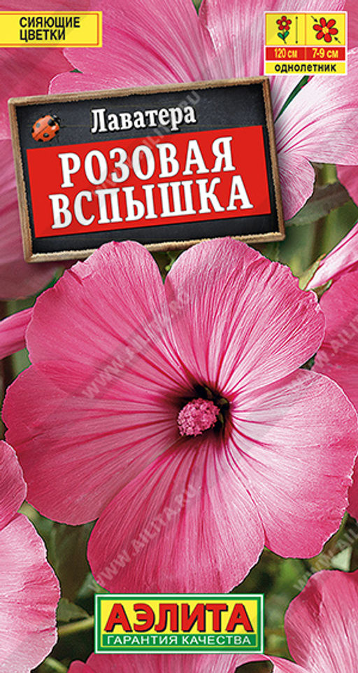Лаватера Розовая вспышка (2027)