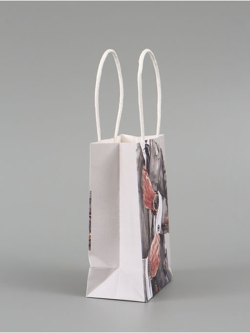 Цена за 4 шт. Пакет подарочный «Мужской», 10 × 15 × 6 см