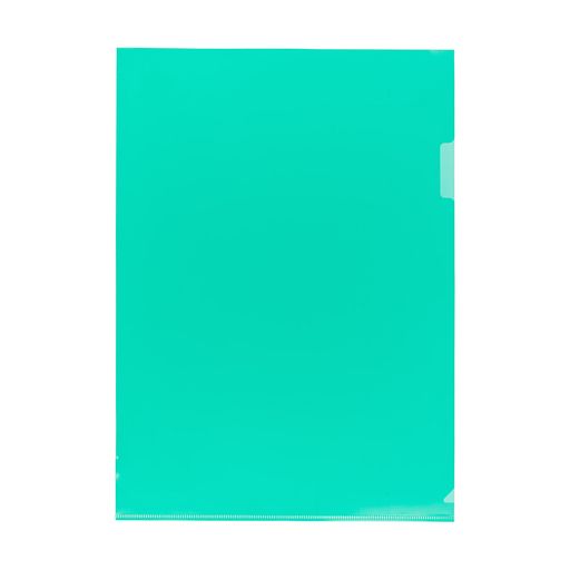 Expert Complete Classic Папка-уголок A4 120 мкм песок 20 шт. зеленый 2202093