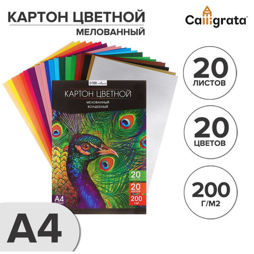 Цена за 2 шт. Картон цветной А4, 20 листов, 20 цветов, волшебный (золото+серебро) Calligrata TOP, мелованный 200 г/м2, в папке