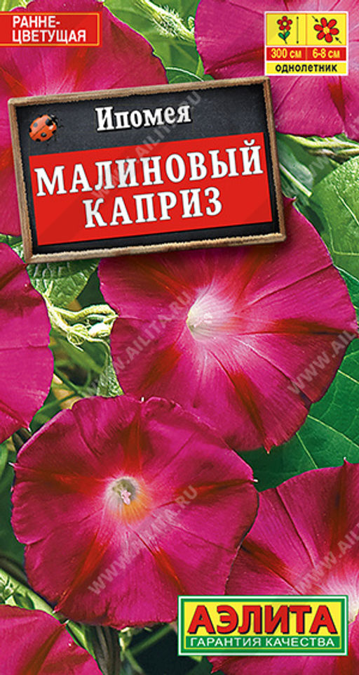 Ипомея Малиновый каприз