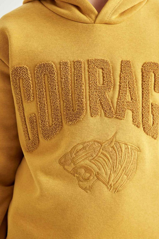 Толстовка оверсайз с капюшоном и принтом для мальчиков - Defacto фото 5