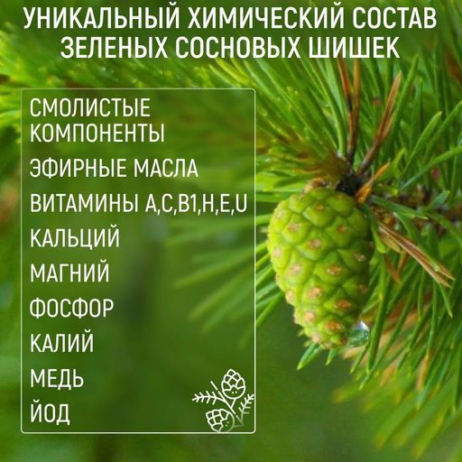 Сосновая шишка цукат 1 кг - Meal shop фото 3