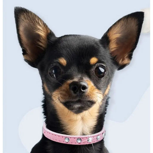 Цена за 3 шт. Ошейник для собак и кошек со стразами "На стиле", цвет пудровый, 2см, размер S, 28*30см (лейбл)