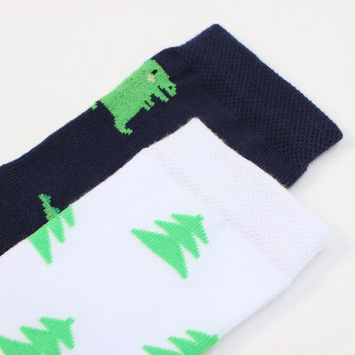 Набор детских носков KAFTAN «Дракоши» 2 пары, размер 18-20