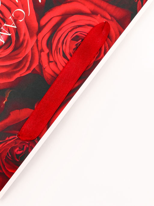 Цена за 2 шт. Пакет подарочный горизонтальный Самой прекрасной, 23?18?10 см