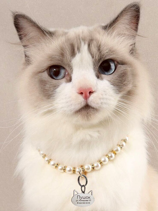 Жетон для кошек с индивидуальной гравировкой