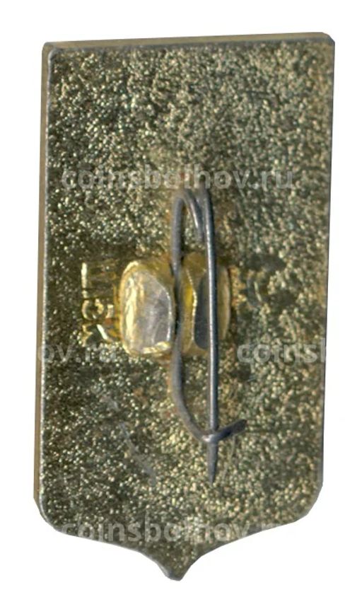 Значок Пенза