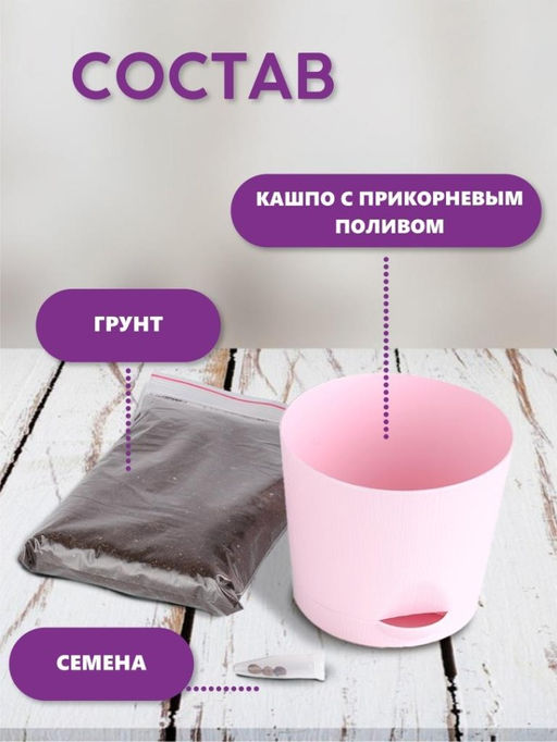 Набор д/выращивания "Тысяча листьев", "Сумасшедшая роза"