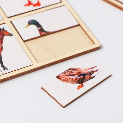 Картинки - половинки «Домашние животные», 16 деталей