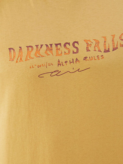 Bisiklet Yaka Bask?l? Penye Erkek Ti??rt