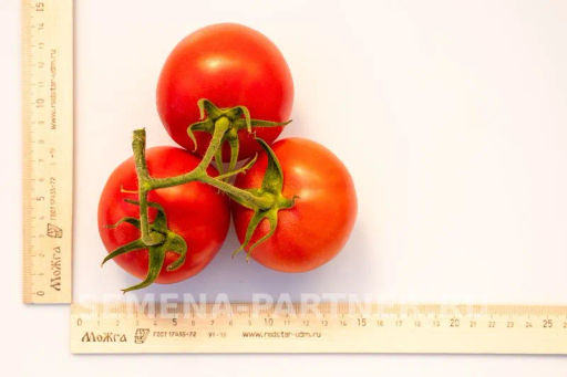 Томат Леди Роуз - Партнер фото 5