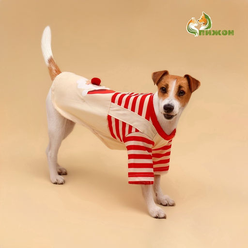 Футболка для животных Santa, M (ДС 30, ОГ 40 см) - Simaland фото 2