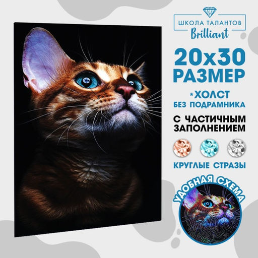 Алмазная мозаика с частичным заполнением на холсте «Взгляд кошки», 20×30 см
