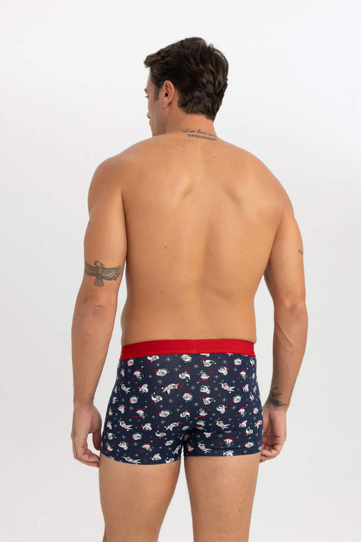 Боксеры обычного кроя Looney Tunes с рождественской тематикой - Defacto фото 3