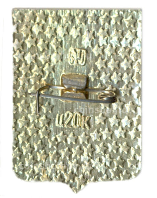 Значок Верхнеднепровск