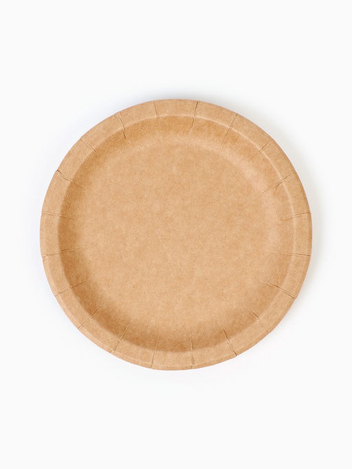 Посуда бумажная одноразовая «Крафт», 20 персон