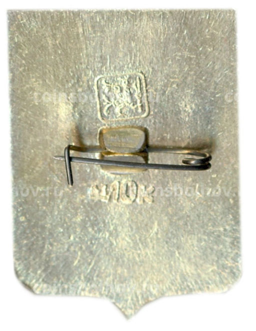 Значок Пенза