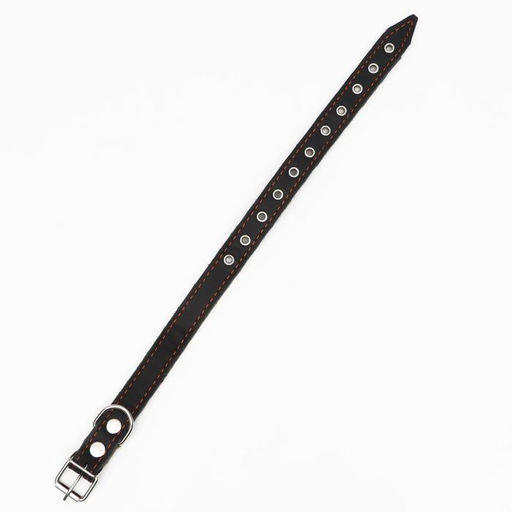 Ошейник комбинированный кожа/брезент, безразмерный, 54 х 2.5 см, ОШ 17-45 см, чёрный - Пижон фото 3