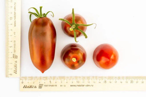 Томат Бурая Гроздь - Партнер фото 3