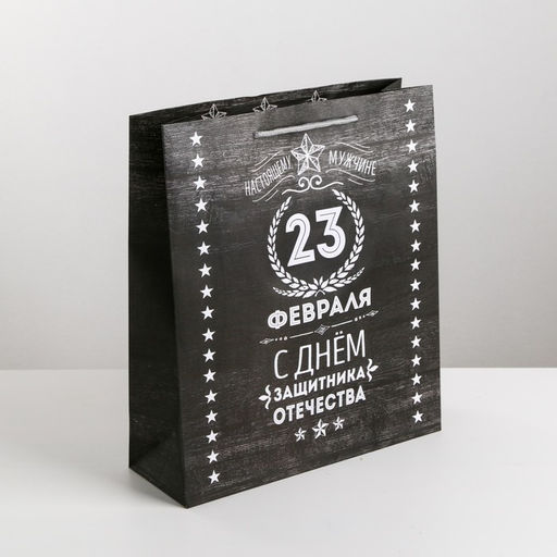 Пакет подарочный ламинированный, упаковка, «Защитнику», M 26×30×9 см