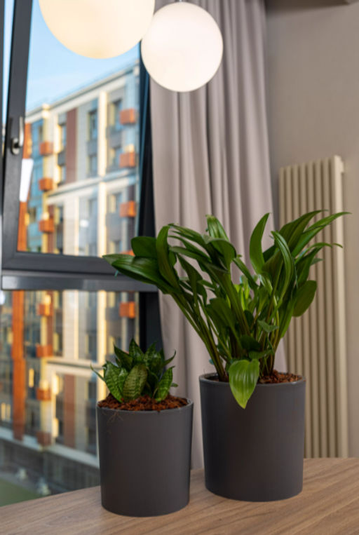 Горшок для цветов 2,5л d157 h156мм серый Genius - Полимербыт фото 4